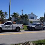 Gallery – Daddy's Pest Solutions