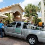 Gallery – Daddy's Pest Solutions