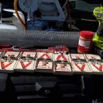 Gallery – Daddy's Pest Solutions
