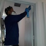 Gallery – Daddy's Pest Solutions