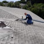 Gallery – Daddy's Pest Solutions